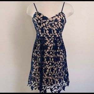 Navy & Cream Lace Dress Francesca’s